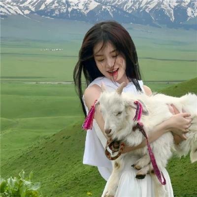 飘扬，共和国的旗帜